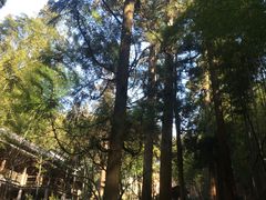 -天目山-昭明禅寺