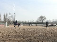 -北京群众马术培训基地