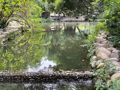 -成都市活水公园
