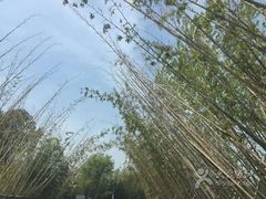 -云幽谷旅游区