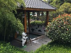 -郑州银基黄帝宫御温泉