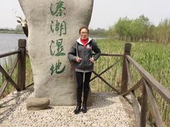 -溱湖国家湿地公园