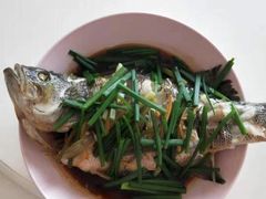 -田螺阿姨自营月嫂·育儿嫂(高新店)