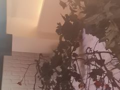 -可口香·非遗老号烧烤(南岗直营店)