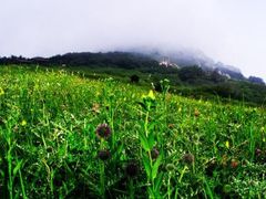 -白草畔自然风景区