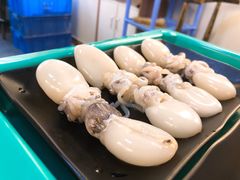 -拾下卜卜贝•海鲜火锅