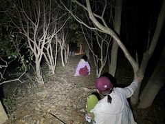 -天目山大树王景区