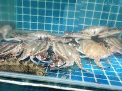 -宾朋海鲜特色美食餐厅·纯手工鲅鱼水饺(兴海路店)