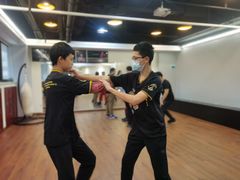 -温鉴良实用咏春拳