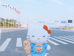 景点-星海湾跨海大桥