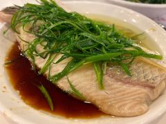 姜葱蒸鱼腩-大哥餐厅(西城花园店)