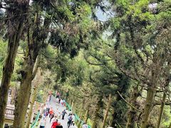 -南岳衡山风景名胜区