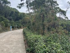 -华西村