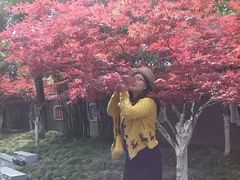 -毛泽东同志旧居