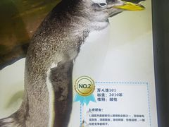 -杭州长乔极地海洋公园