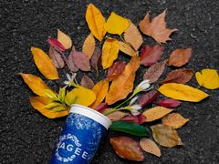 -万达广场(南宁青秀店)