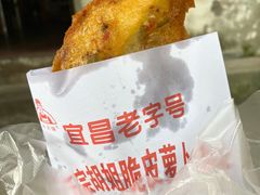-半月镰胡姐脆皮萝卜饺子
