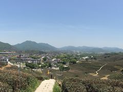 -龙坞茶村