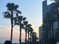 -金沙湖公园
