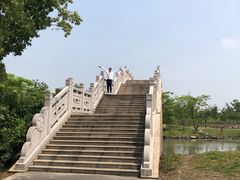 -广富林郊野公园