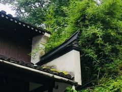 -东梓关景区村庄