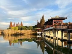 -沙家浜风景区