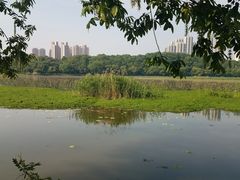 -月湖风景区