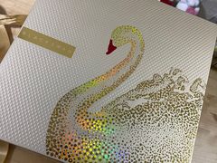 -BLACKSWAN黑天鹅(环球店)