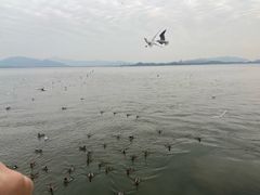 -宝安西湾红树林湿地公园