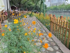 -成都市活水公园
