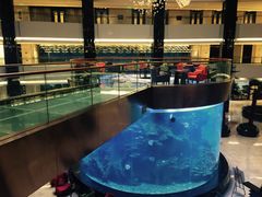 -OPEN開全日自助餐厅·牛肉火锅·海鲜(佛山希尔顿酒店)