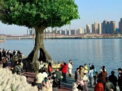 -咸阳湖景区