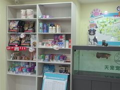 -天宠宠物医院24小时·急重症诊疗中心·全科·腔镜特色(和平分院)