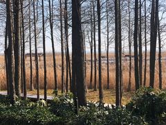 -苏州太湖湖滨国家湿地公园