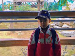 -西霞口神雕山野生动物世界