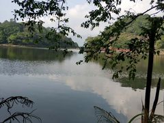 -广州市石门国家森林公园