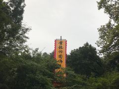 -杭州黄龙洞