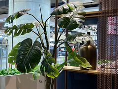 -必胜客(上海新南方商城PH店)