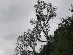 -神农山景区