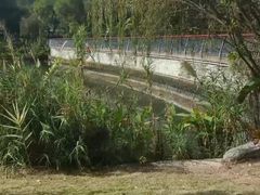 -四海公园(南山区)