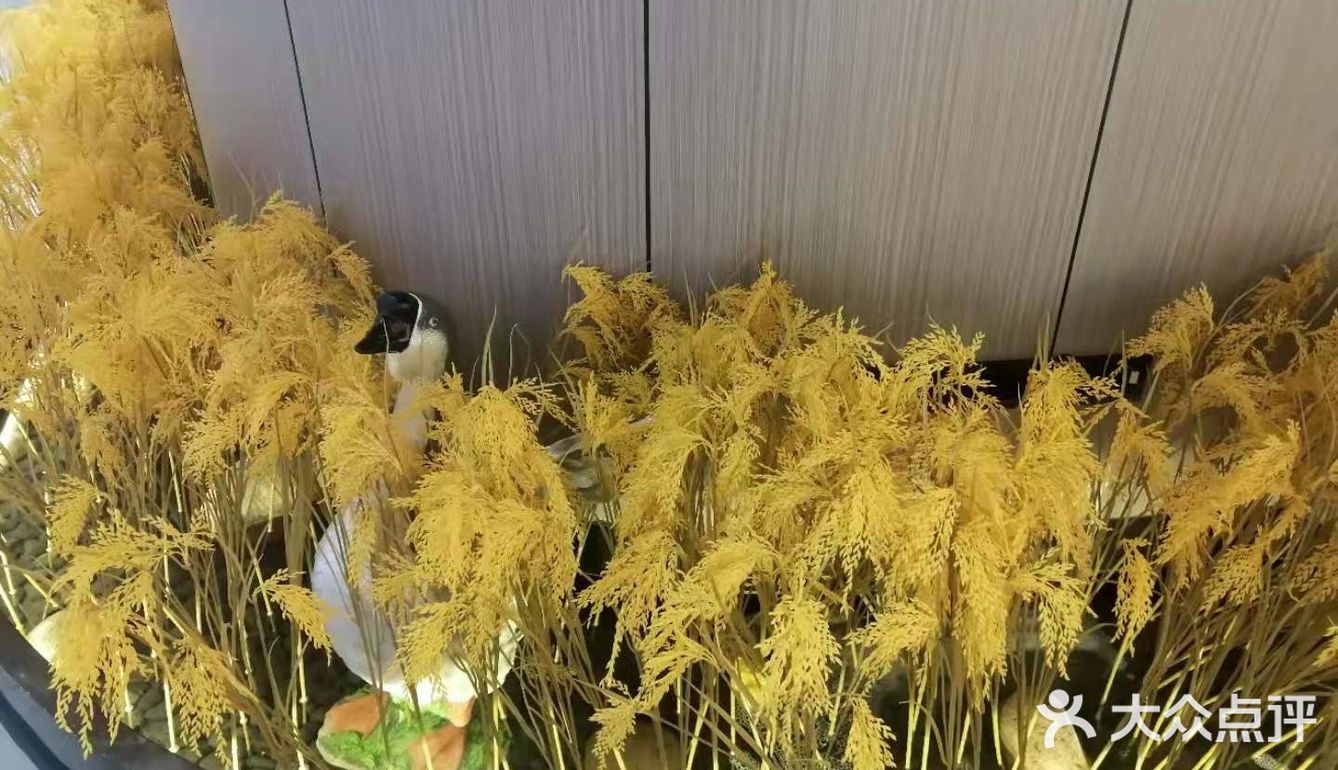 平时算能吃点辣的，感觉湘恬的菜蛮合我胃口的