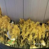 平时算能吃点辣的，感觉湘恬的菜蛮合我胃口的