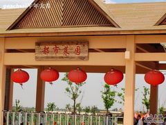 -上海都市菜园