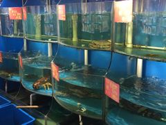水产区-紫阳家宴(源深店)