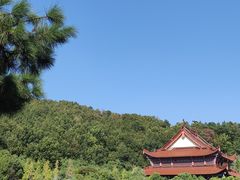 -游子山休闲旅游区
