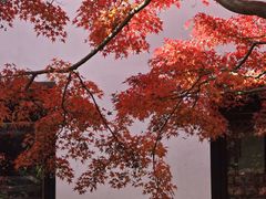 -无锡惠山寺