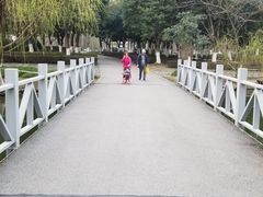 -白塘生态植物园