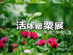 -国家植物园南园