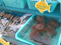 -喜来酌海鲜·饺子(和平一店)