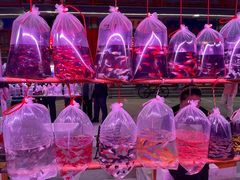 -华声天桥民俗文化园